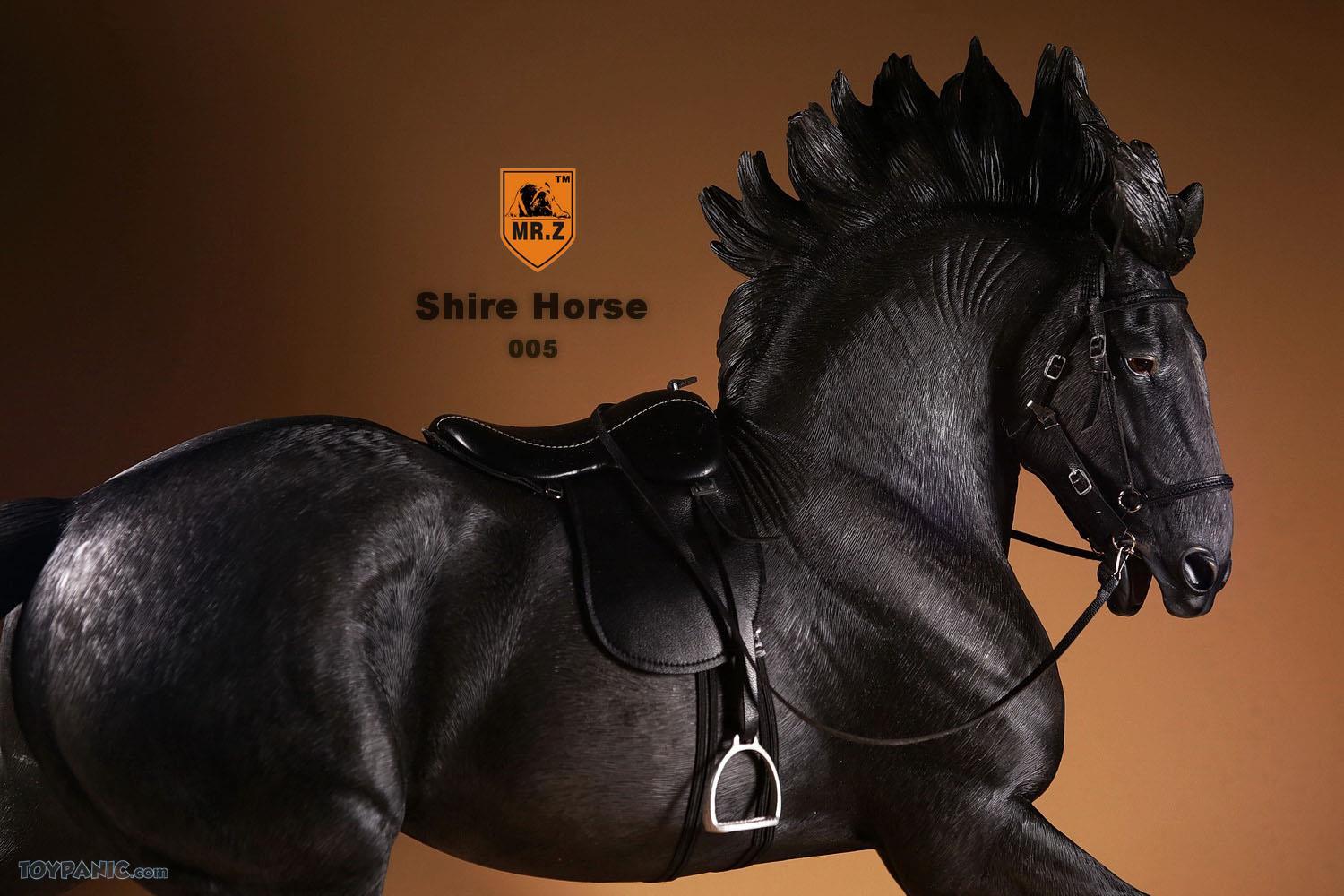 Mr.Z British Shire Horse 005 (black version) - first impressions and in-hand pics  125201750208PM_000