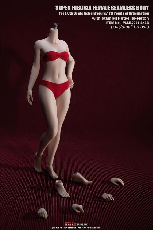 S27B Figure DOll Body Sets Female Model Phicen 1/6 TBLeague Seamless PLMB2018 